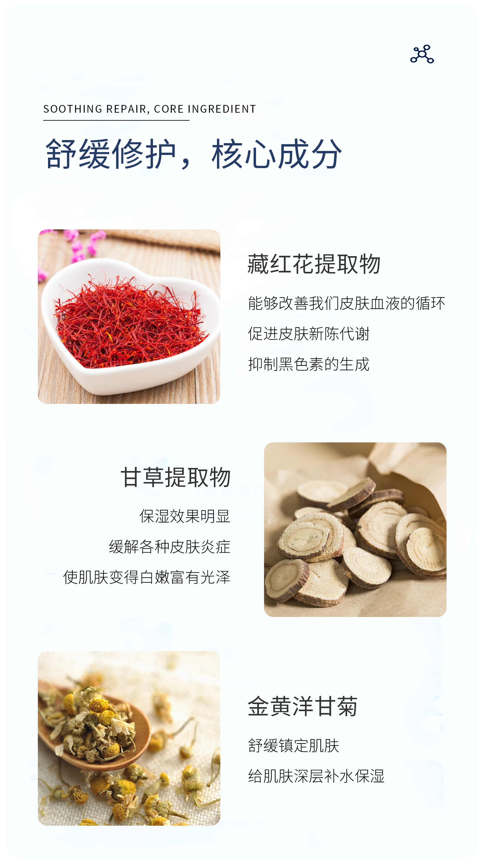 藏红花-(5).jpg