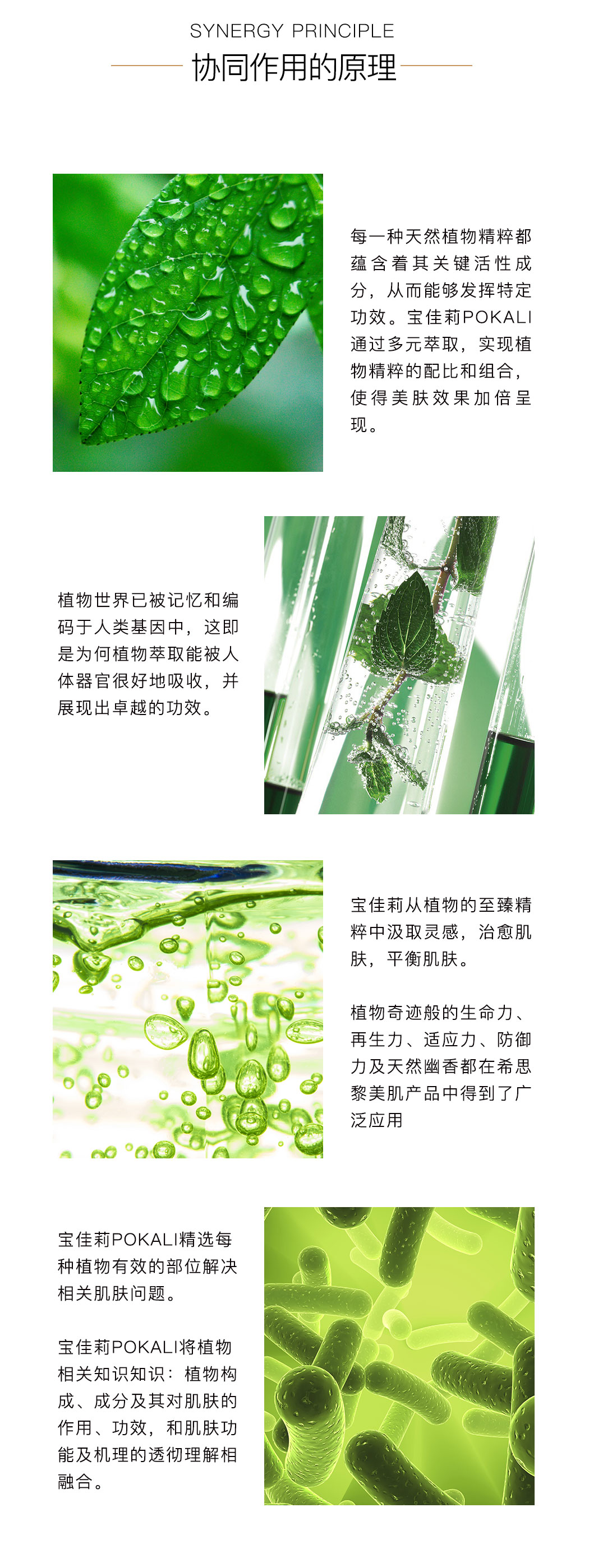 植物精粹(2)_02.jpg