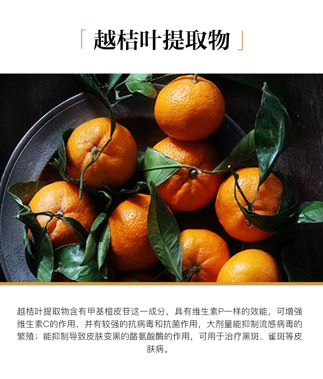 植物精粹(2)_03.jpg