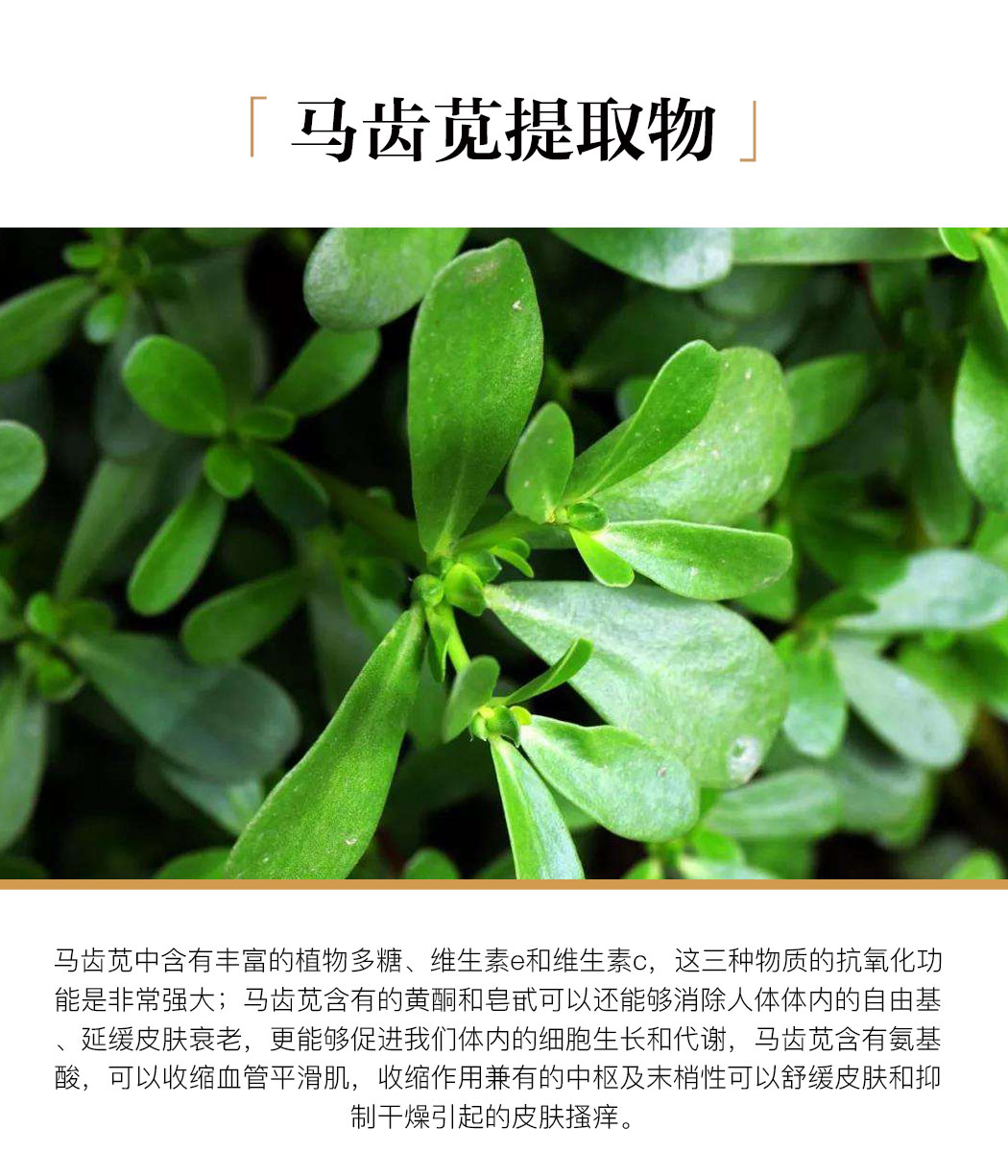 植物精粹(2)_04.jpg