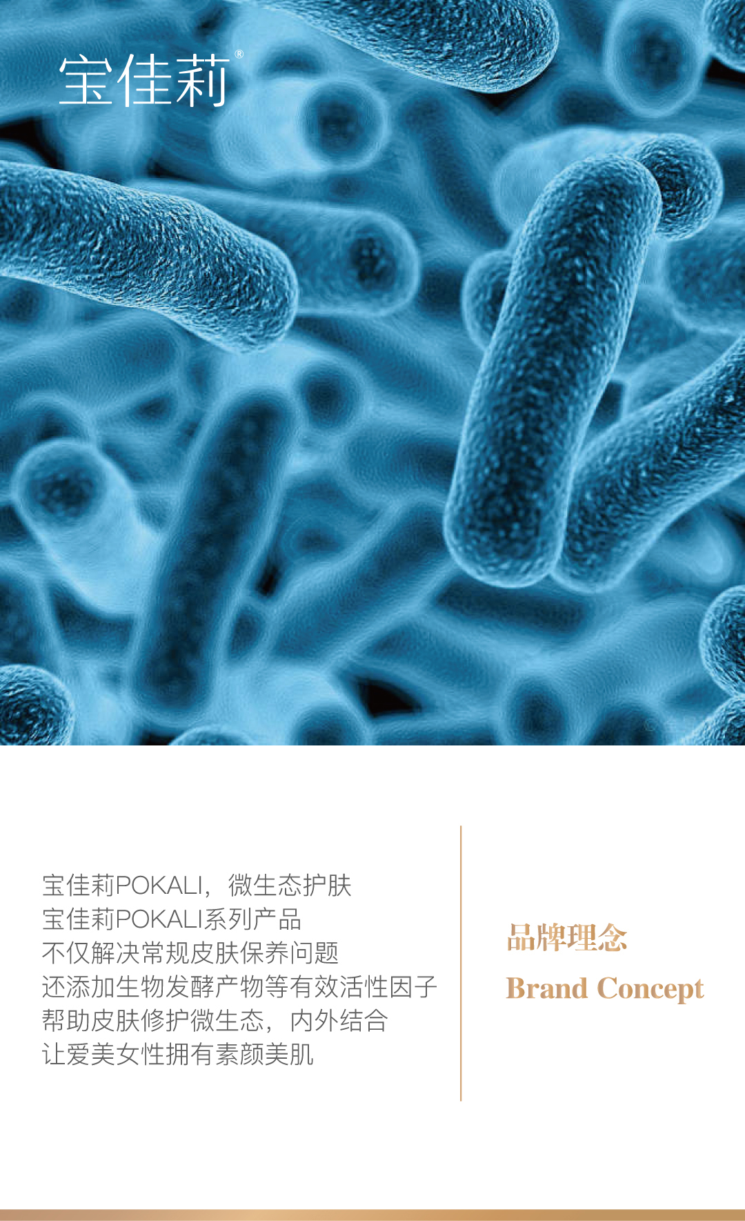 网站品牌故事2.jpg 网站品牌故事2.jpg